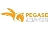 Pegase