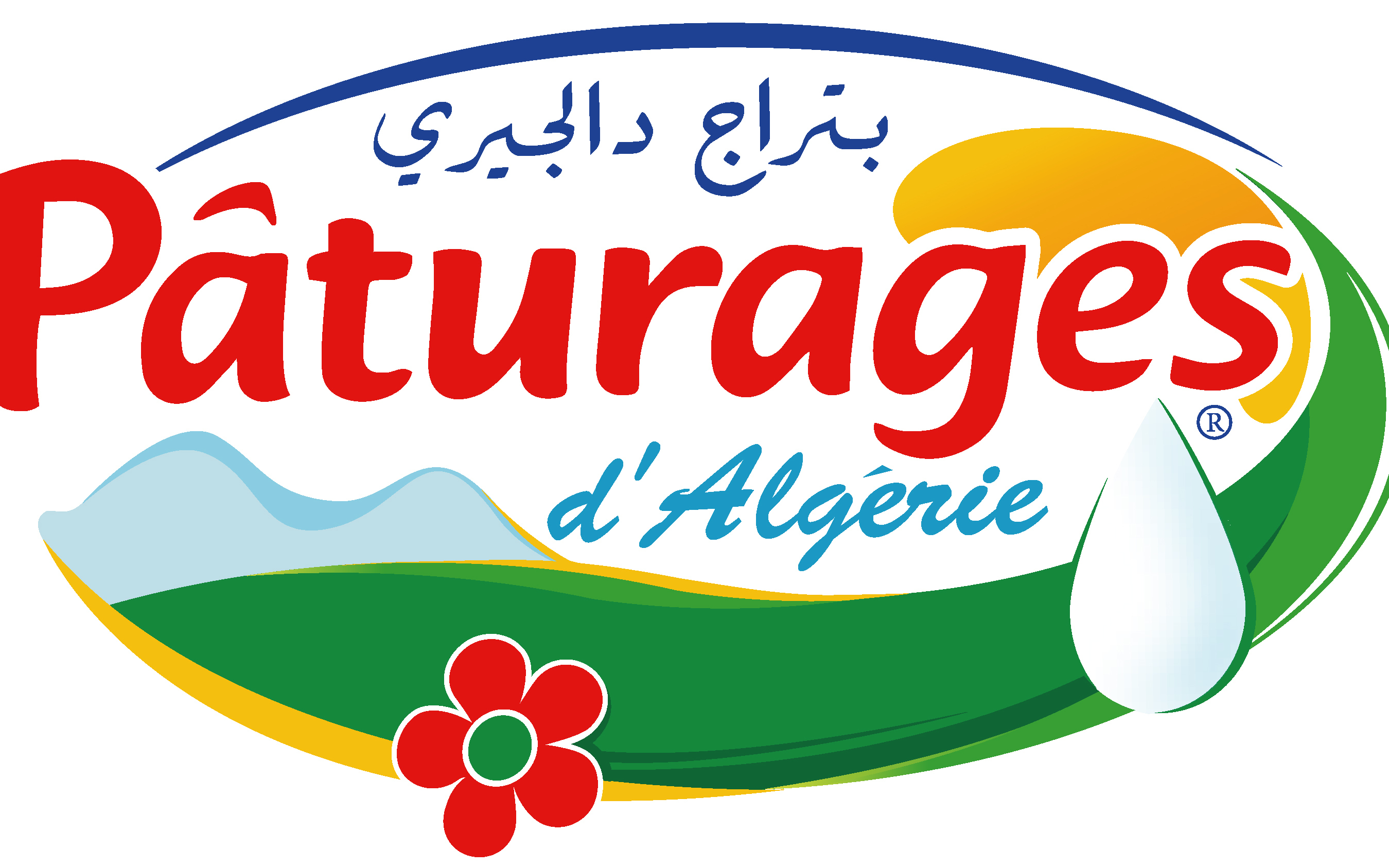 Pâturages d'Algérie
