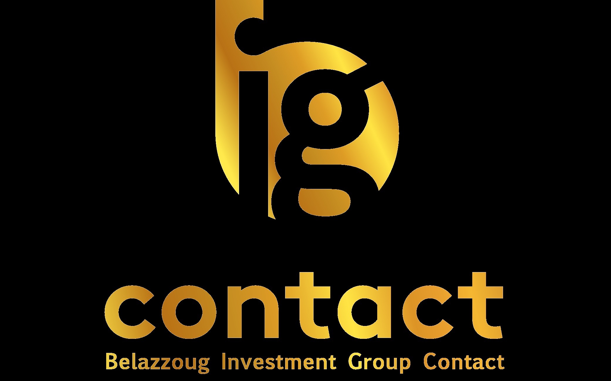 Eurl Belazzoug Investment Group Contact