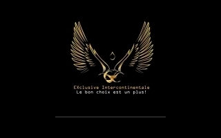 Exclusive Intercontinentale - Vidangeurs (F/H)