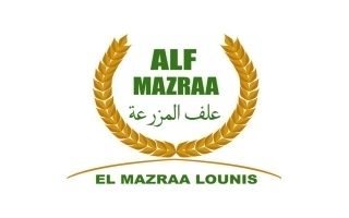   El Mazraa Lounis