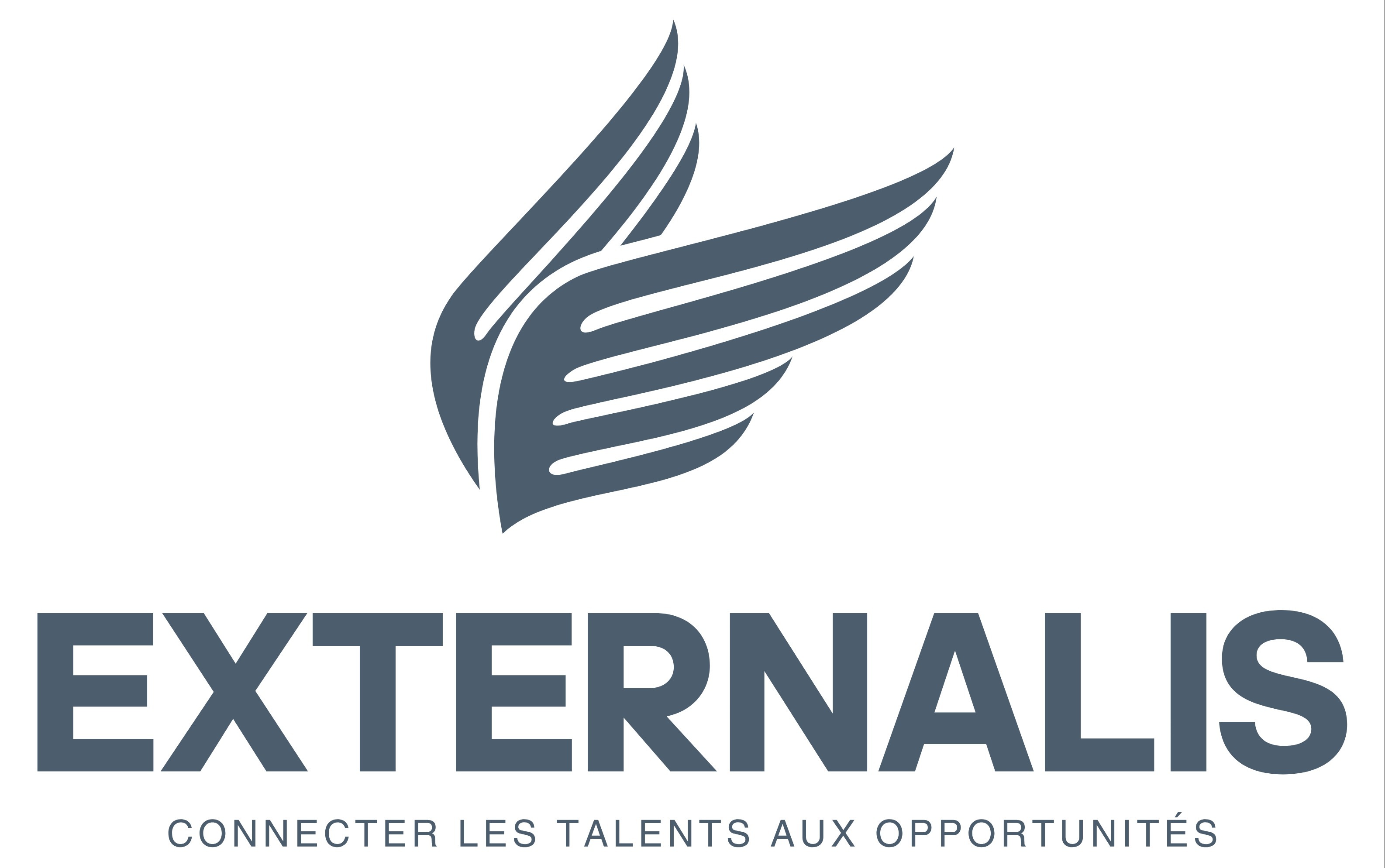 SARL INTER SEAF (EXTERNALIS INC )