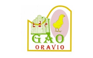  ORAVIO SPA
