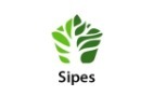 Sipes