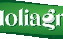 SARL MOLIAGRO 