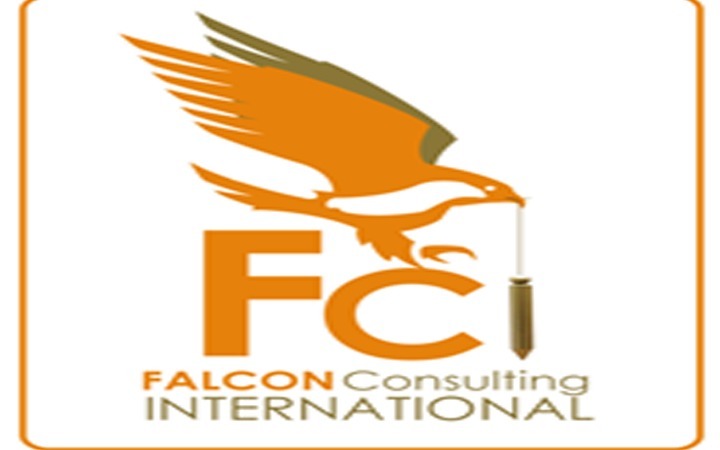 Falcon Consulting International