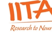 IITA