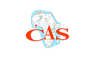 Cabinet Afrique Stratégies