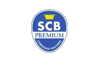 SCB (Société de Culture Bannière) - Technico - Commercial