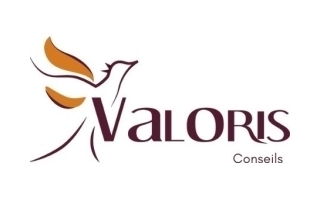 VALORIS CONSEILS - Commercial H/F