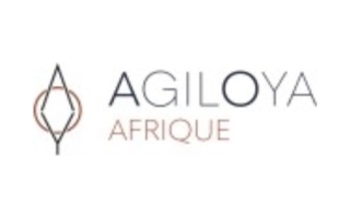 AGILOYA AFRIQUE - Consultant en Transformation Digitale H/F