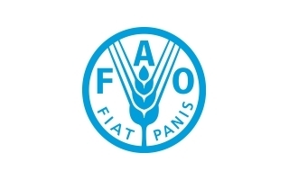 Food and Agriculture Organization FAO