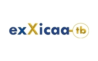 exXicaa-tb - Ingénieur Génie Civil