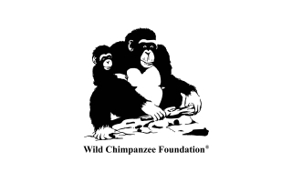 Wild Chimpanzee Foundation