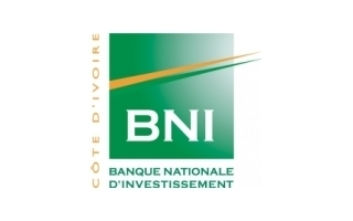 Banque Nationale d'Investissement (BNI) - CHEF DE DEPARTEMENT COMMODITIES