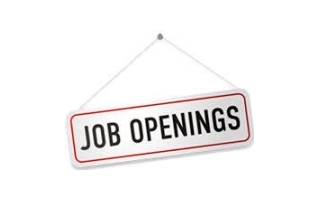 Global jobs Opening