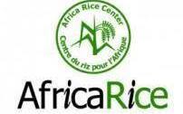 Africa Rice