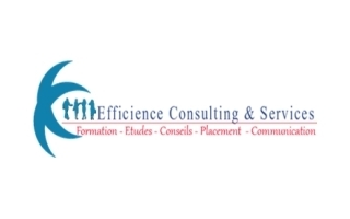 Efficience Consulting