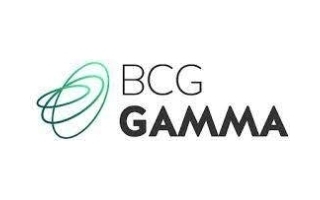 BCG GAMMA - Analyst