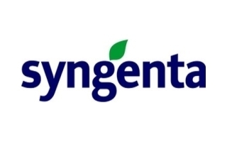 Syngenta - Accountant