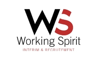 Working Spirit 