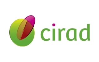 CIRAD