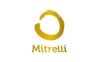 Mitrelli - Chief Financial Officer