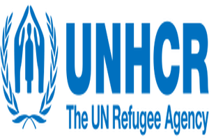 United Nations High Commissioner for Refugees - Stagiaire – Analyste Informatique/DIMA