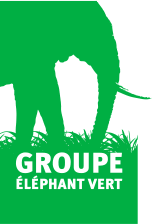 ELEPHANT VERT SENEGAL