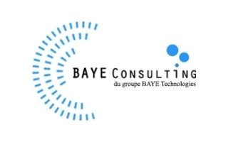 BAYE Consulting