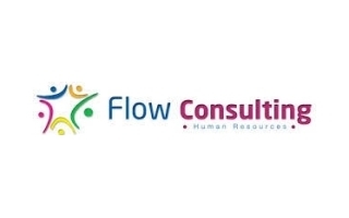 Flow Consulting