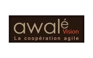 Awalé Vision