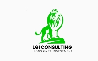 LGI CONSULTING