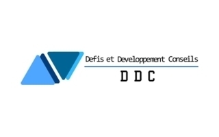 DEFIS & DEVELOPPEMENT CONSEILS - Support IT (H/F)