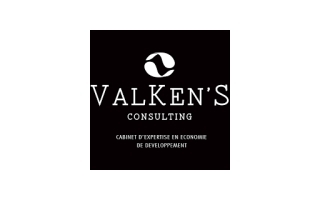 VALKEN’S CONSULTING