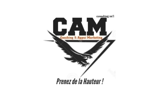 CAM consulting International - Chargé de Clientèle